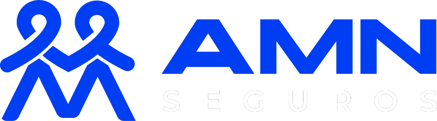 AMN Seguros